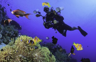 Mauritius-diver